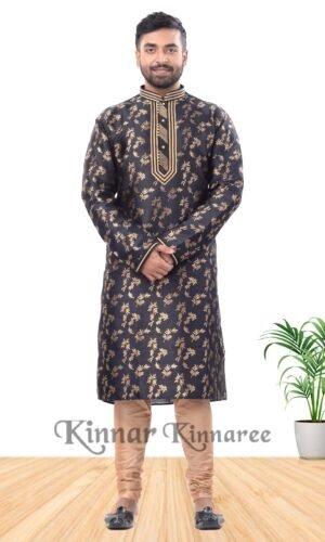 Katan Silk Fancy Panjabi